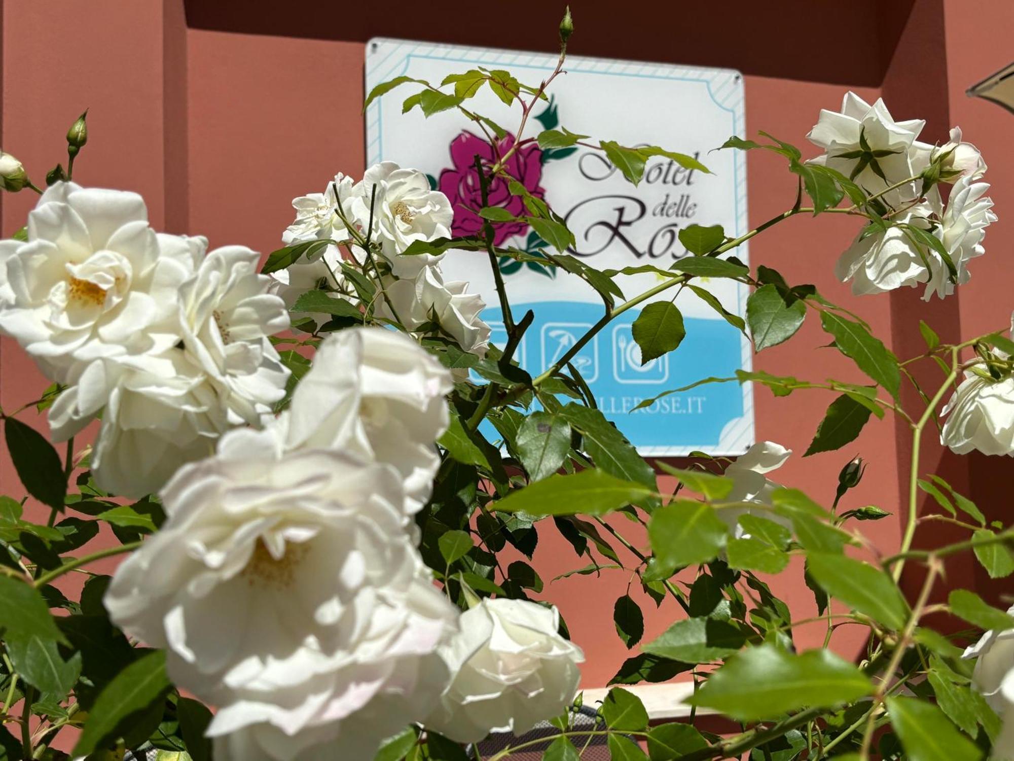 Hotel Delle Rose San Bartolomeo Al Mare Εξωτερικό φωτογραφία